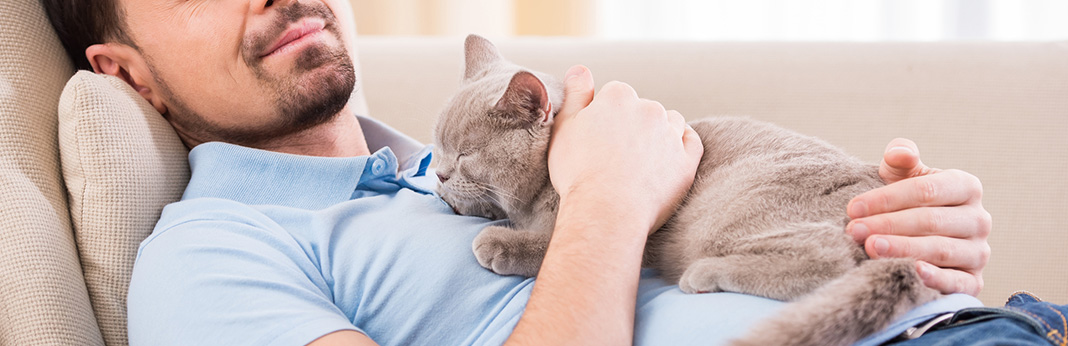 Why Do Cats Lay on Your Chest