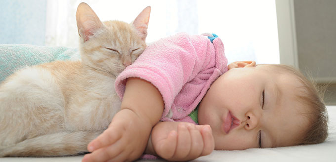 Baby and cat sleeping