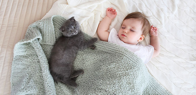 Baby and cat