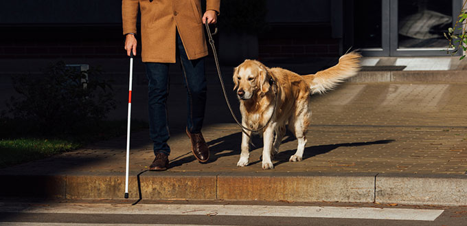 Blind man with dog walking