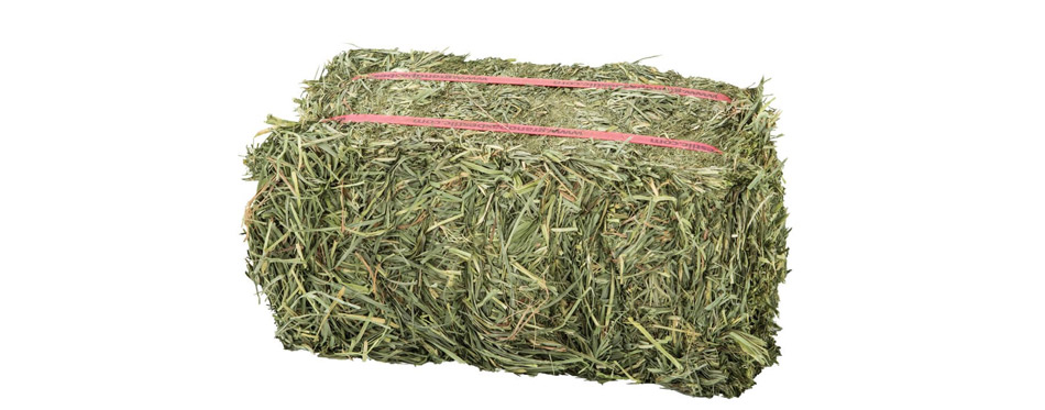 Grandpa's Best Orchard Hay For Rabbits