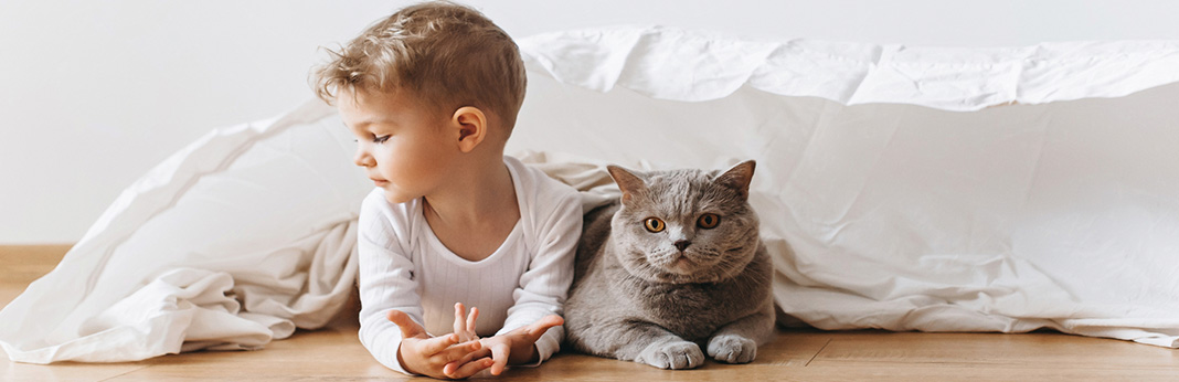 Introducing Cat to Baby - Keep Baby Safe and Kitty Secure