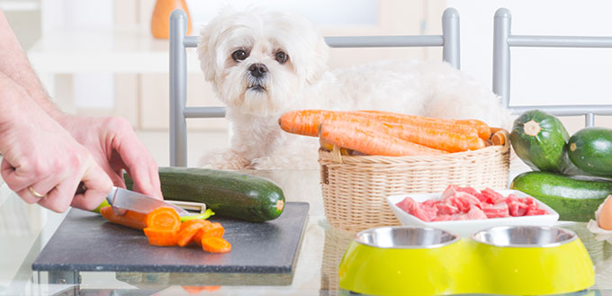 Preparing natural food for pets