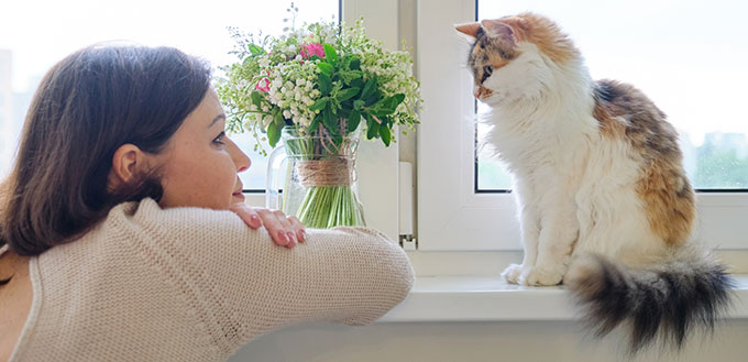 Woman and cat sitting near the window