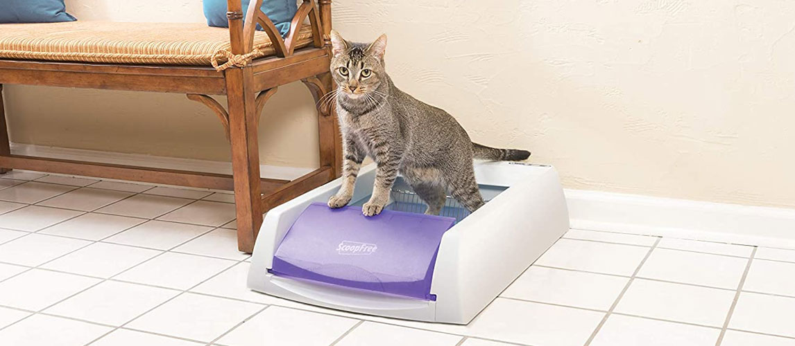 Best-Dog-Proof-Litter-Box-1