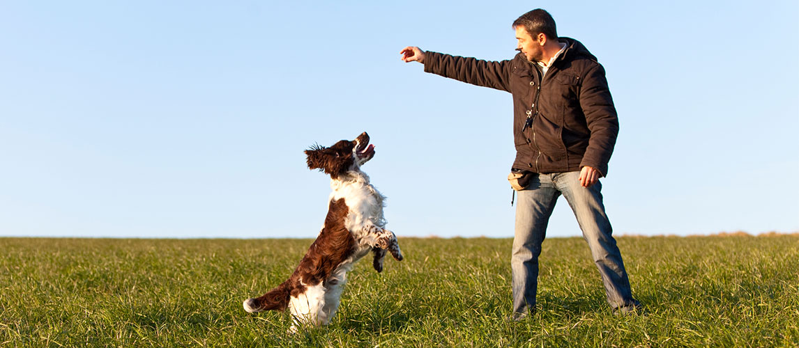 Best-Dog-Treat-Pouches-&-Bags