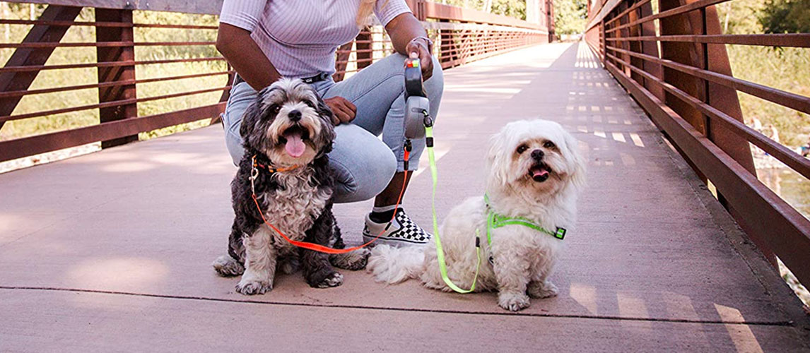 best dual dog leash