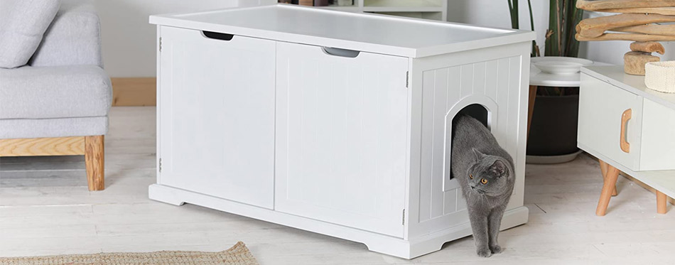 Dog proof cat litter box