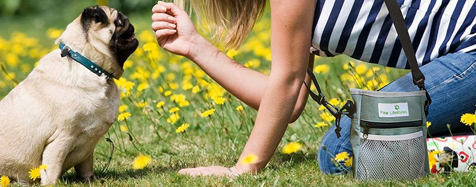 Girl with a dog treat pouch and her dog