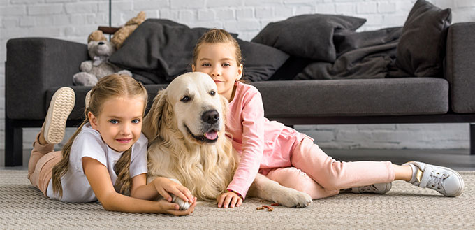 Kids hugging a golden retriever dog