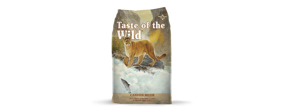 Best Dry Food: Taste Of The Wild Canyon River Grain-Free Cat Food