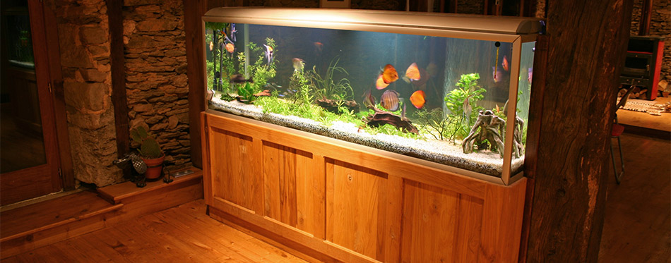 Fish tank