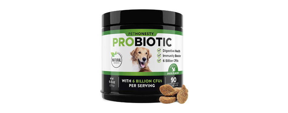 Best Non-GMO: PetHonesty Soft Chews Calming Supplement for Dogs