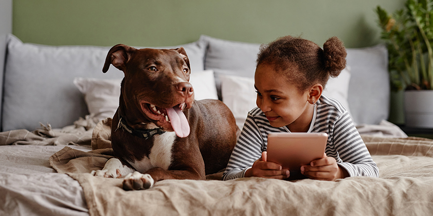 Front view portrait of cute African-American girl lying on bed with big pet dog and smiling, copy space