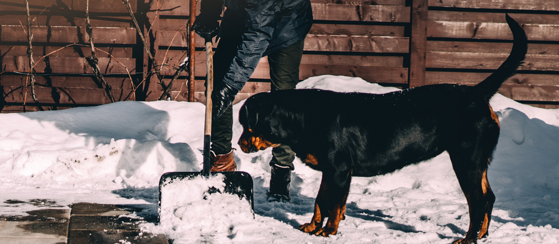 best-pet-safe-ice-melt