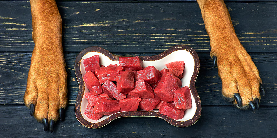 Bowl of fresh raw meat for dog.