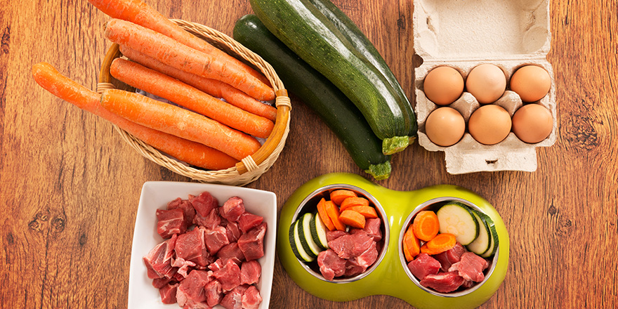 Natural, organic dog's food in a bowl with ingredients zucchini, carrot, eggs and raw meat