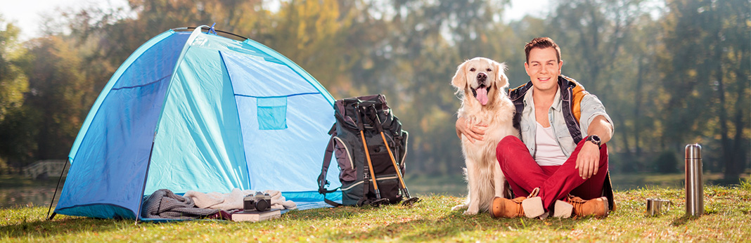 Camping with Dogs - A Beginner's Guide