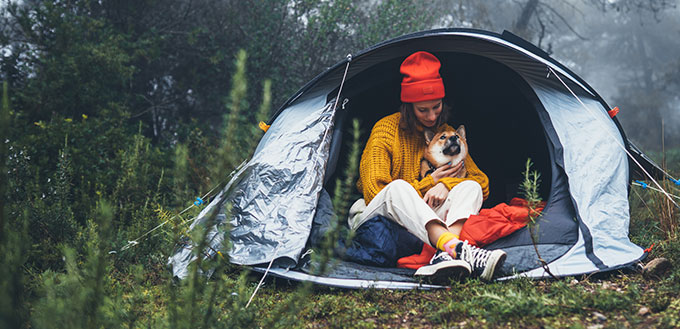 Camping with dog