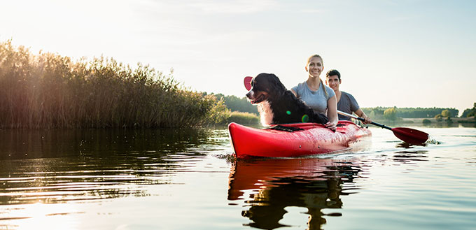 Dog and woman sitting with a man kayaking