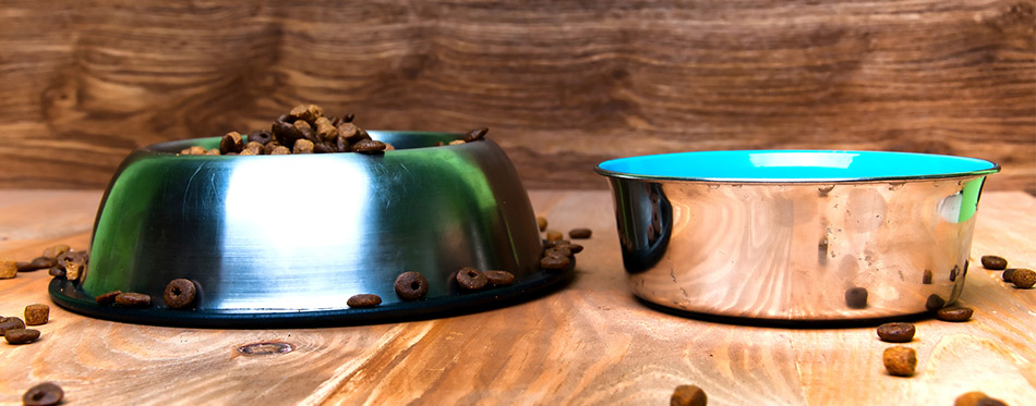 Stainless Steel Dog Bowls