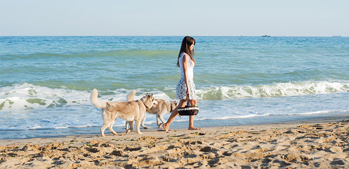 Woman and her dogs on the beach