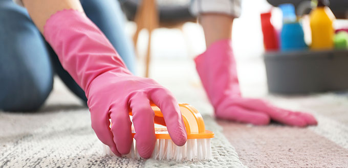 Woman cleaning carpet at home