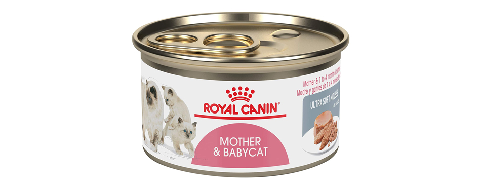 Royal Canin Mother and Babycat Canned Cat Food