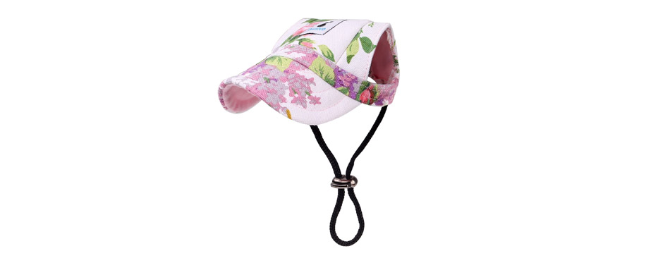 best dog hats