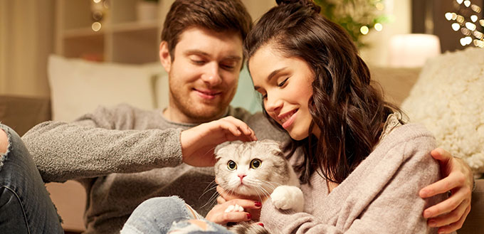 Happy couple with cat at home