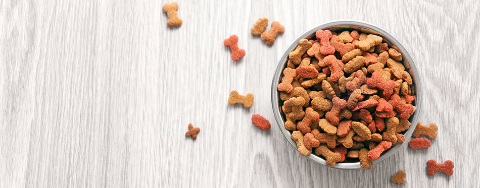 gentle giants dog food longevity claims