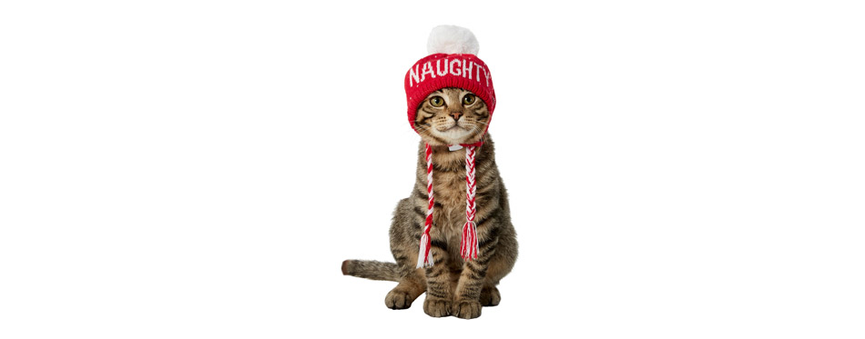 Best for Confident Cats: Frisco Naughty/Nice Cat Knitted Hat
