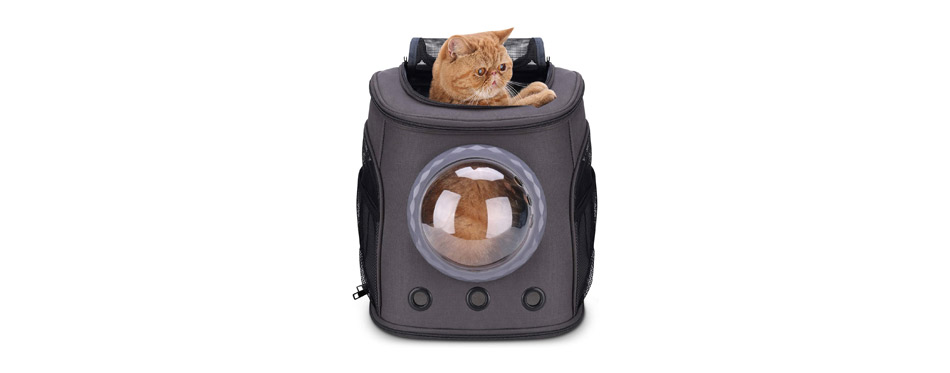 Best for Large Cats: Lollimeow Cat Backpack 