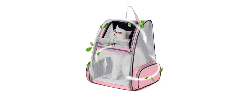 Best Budget Pick: Texsens Pet Backpack Carrier for Small Cats 