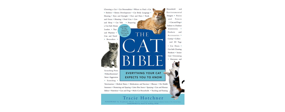 The Cat Bible: Everything Your Cat Expects You To Know