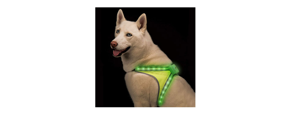 Blazin' Safety LED Dog Harness