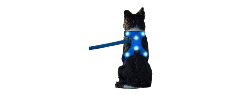 Domi LED Dog Harness