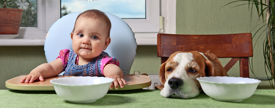 Girl with a dog waiting for dinner