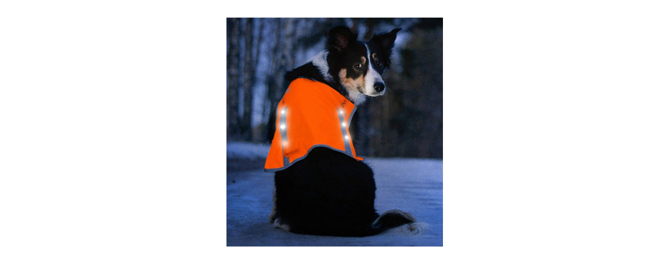 Illumiseen LED Dog Vest