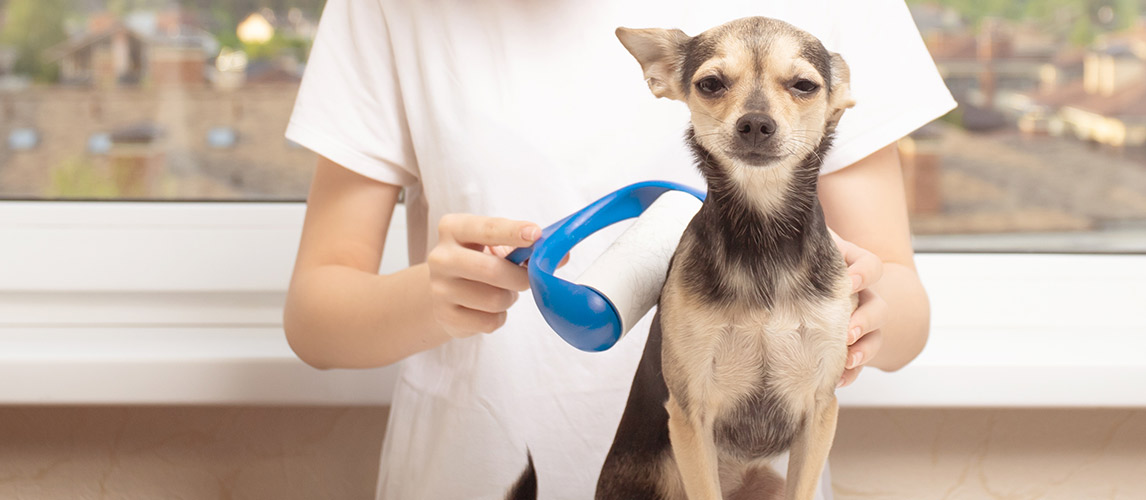 Best-Lint-Rollers-For-Pet-Hair