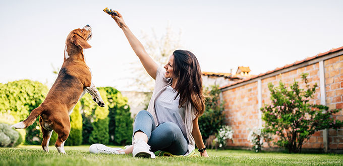 Beautiful woman giving food to dog from her hand.