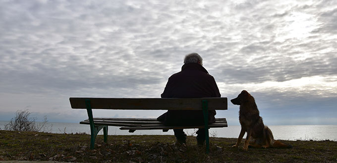 Elderly man sitting on an old wooden bench above the see in a cloudy winter day, his dog quietly standing by.