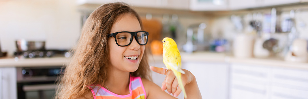 How to Tame a Parrot - Dos and Don'ts to Gain Your Bird's Trust