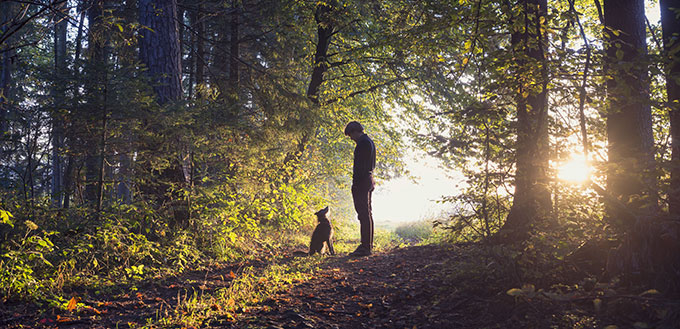 Man walking his dog in the woods standing backlit by the rising sun casting a warm glow and long shadows.