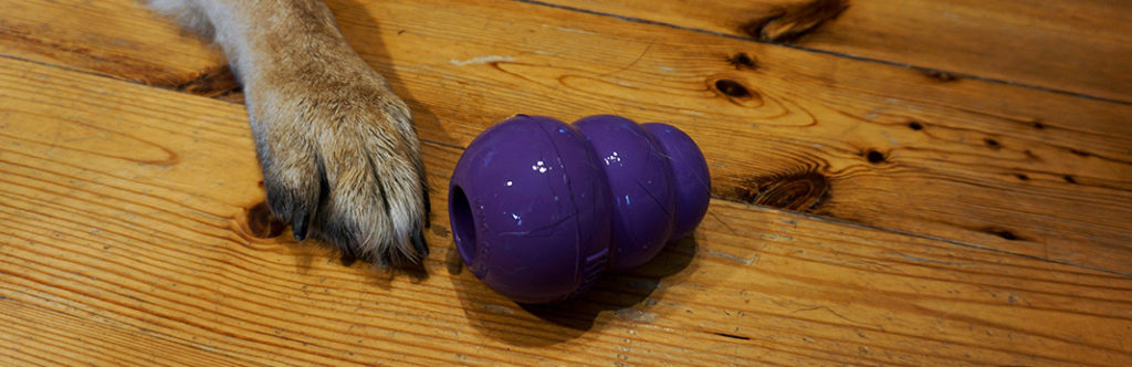 how to put treats in kong