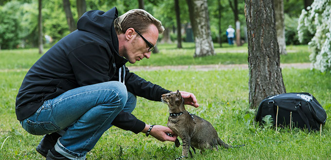 man playing the cat outdoor in summer day on cat's first walk