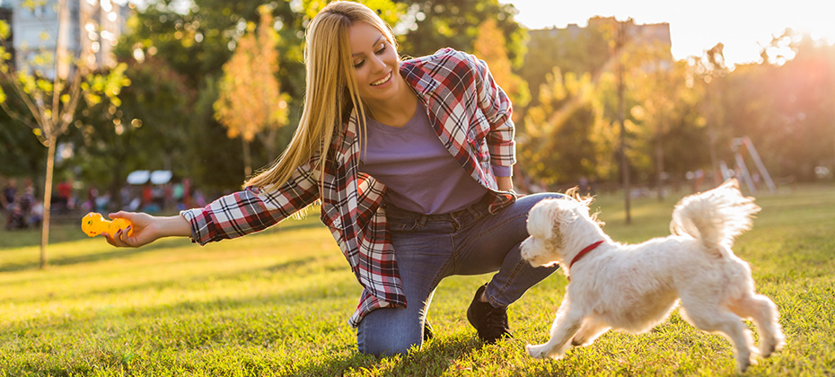 Beautiful woman is playing with her Maltese dog in the park.