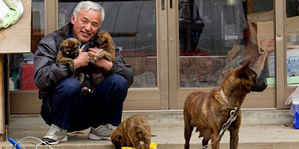Caring-For-Animals-After-The-Fukushima-Nuclear-Disaster-–-How-Two-Men-Defy-The-Odds