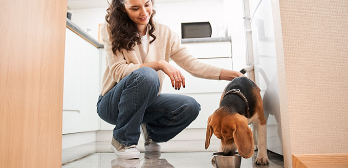 Curly pleasure woman wearing casual clothes stroking a dog approvingly while she eating after being allowed. Pet care concept and lifestyle