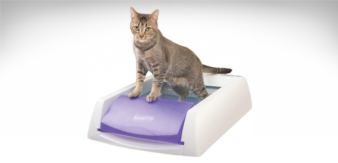 PetSafe-ScoopFree-Automatic-Litter-Box-(2021)-Review